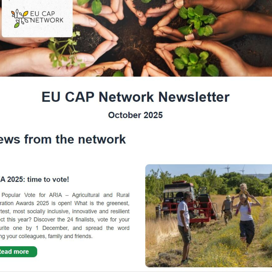 Boletín octubre de la Red Europea de la PAC