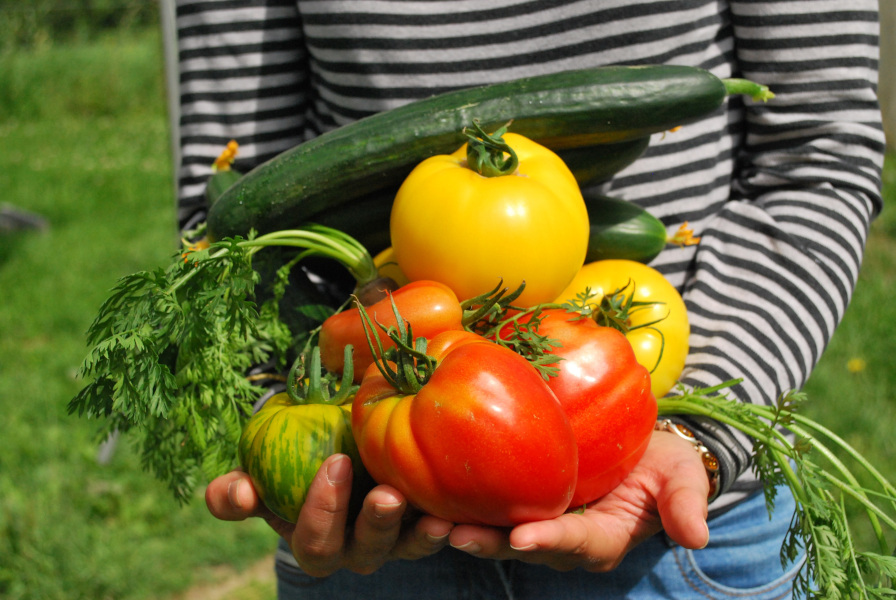 Calidad y cadena alimentaria