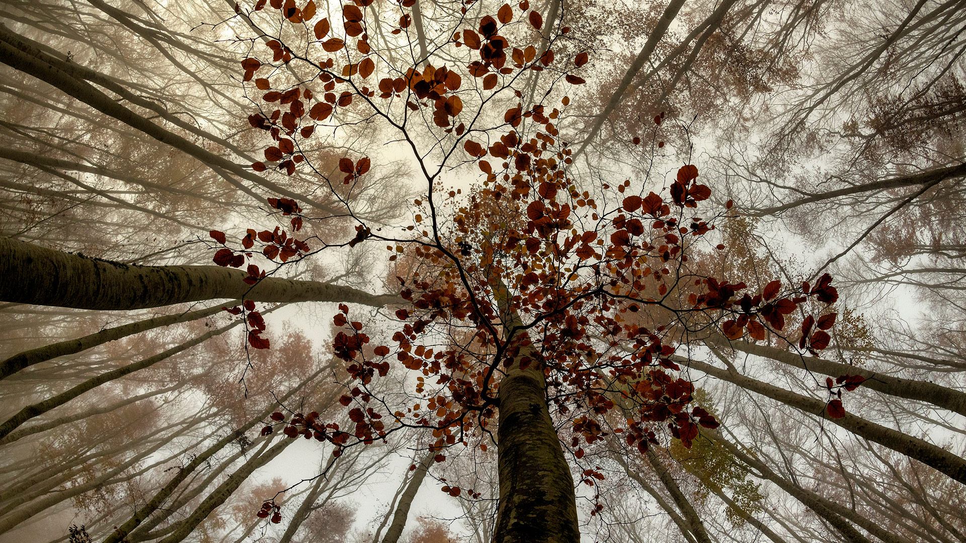 Primer premio en PN Ordesa y Monte Perdido