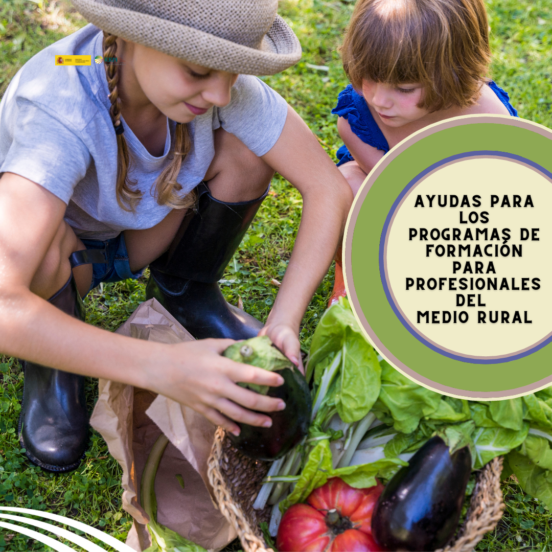 El Ministerio de Agricultura, Pesca y Alimentación convoca ayudas para los programas de formación para profesionales del medio rural