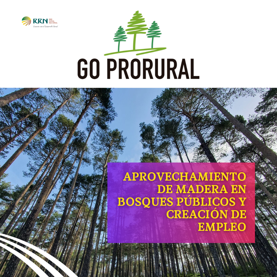 GO Prorural