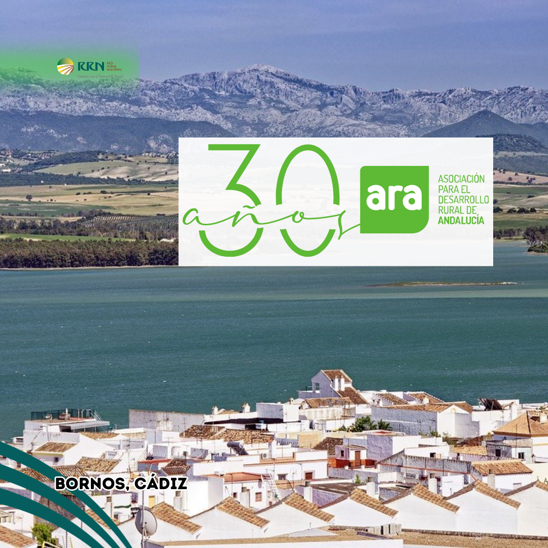 ARA 30 aniversario