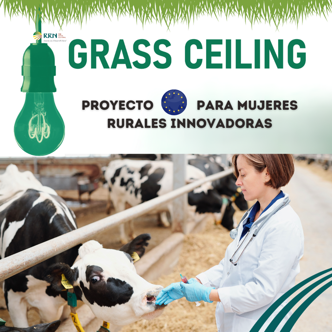 Grass Ceiling