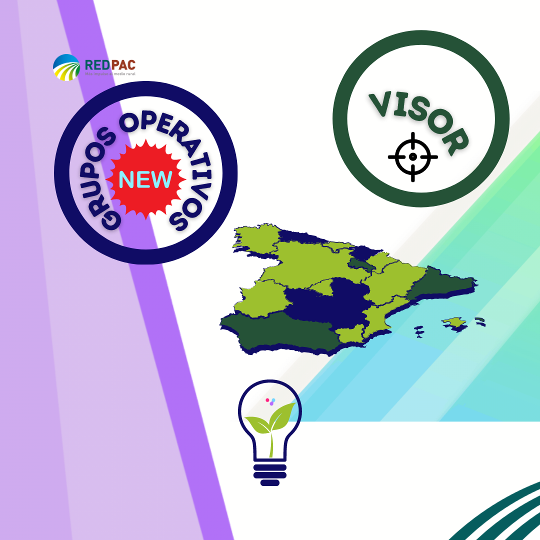 Información de los Grupos Operativos aprobados