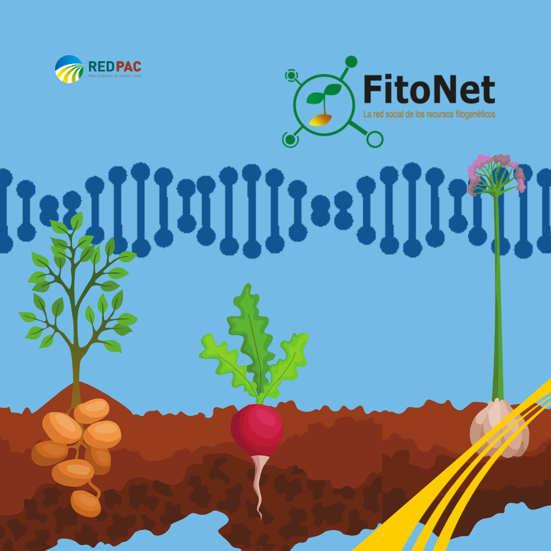 El Grupo Operativo FitoNet pone en marcha el desarrollo de una red social sobre biodiversidad genética vegetal