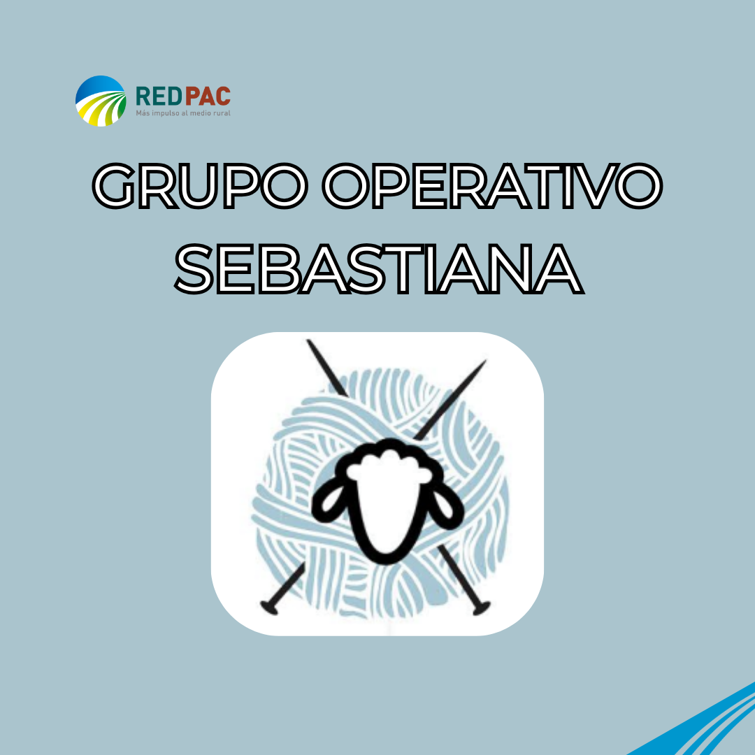 El Grupo Operativo SEBASTIANA persigue la revalorización de la lana como producto de calidad en España