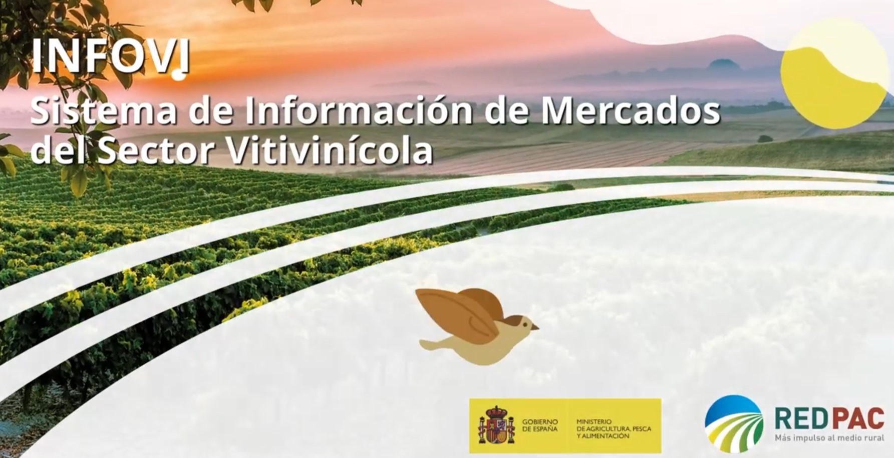 INFOVI: Market Information System for the Wine Sector