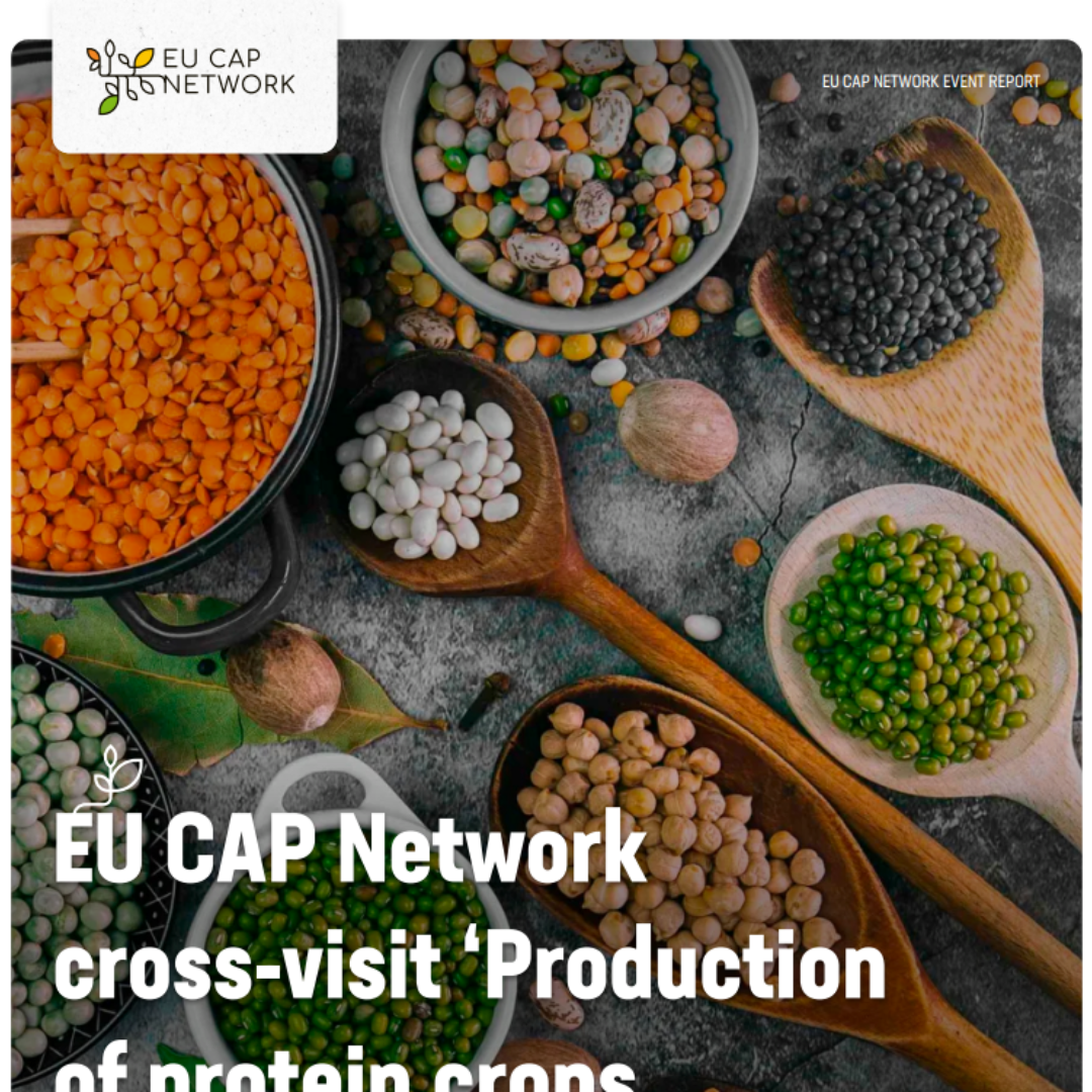 Visita cruzada de la Red Europea de la PAC 'Producción de cultivos proteicos bajo el cambio climático'