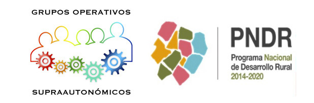 Grupos Operativos Supra-Autonómicos