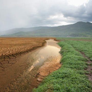 Cambio Climático y gestión de recursos naturales