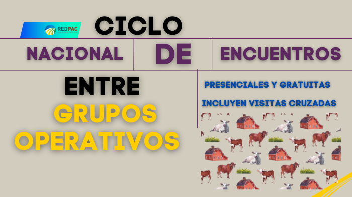 ciclo GGOO