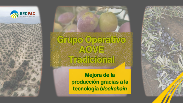 Grupo Operativo AOVE Tradicional