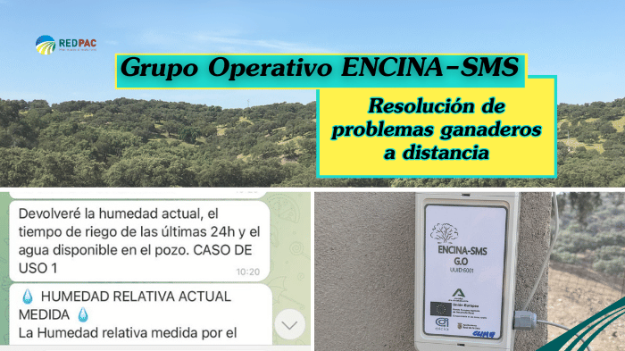 GO ENCINA-SMS