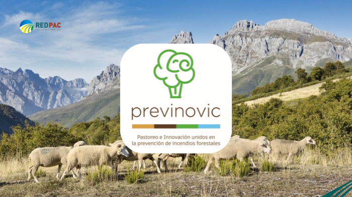 previnovic