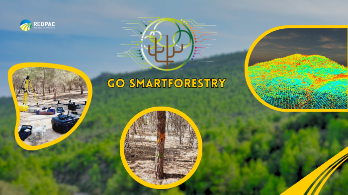 GO SMARTFORESTRY