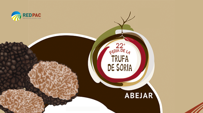 trufa negra