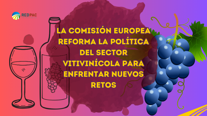 La Comisión Europea reforma su política vitivinícola para enfrentar los retos del futuro