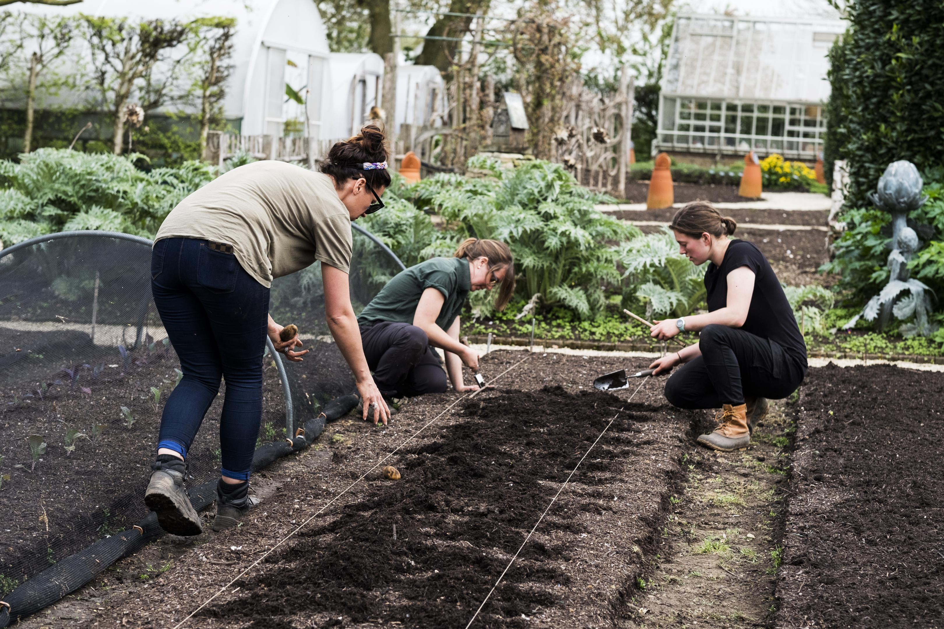 Mujeres agricultura