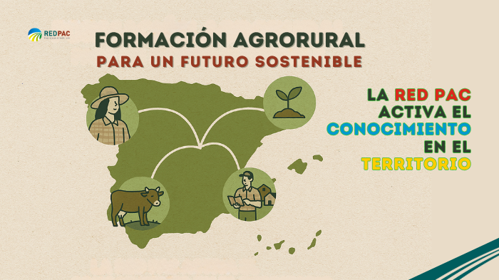 jornadas