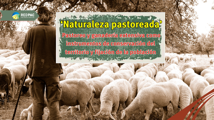 Naturaleza pastoreada