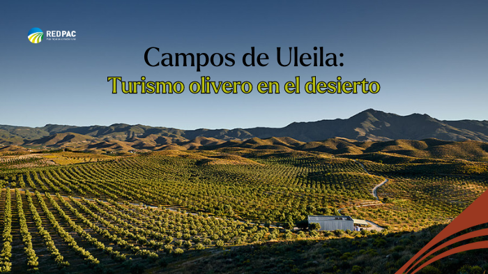 Campos de Uleila Oleoturismo