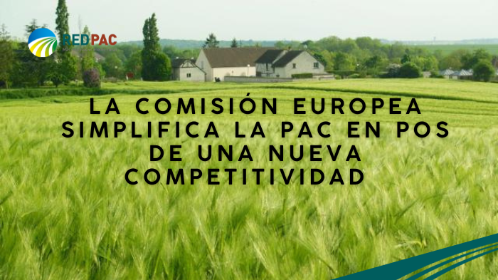 simplificación PAC