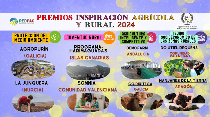 Seleccionados Premios ARIA 2024