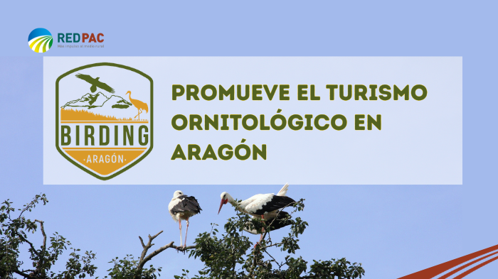 Birding Aragón promueve el turismo ornitológico en la región