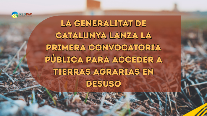 catalunya tierra abandonada