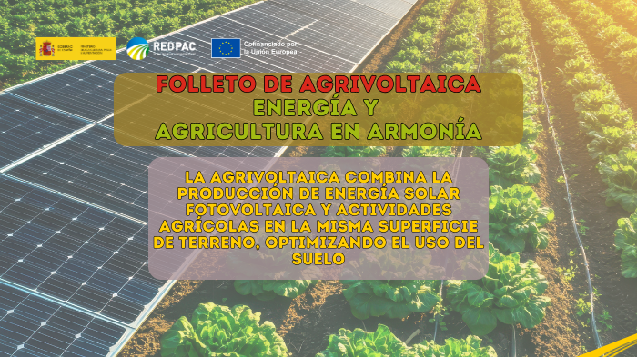 La Red PAC publica un folleto divulgativo sobre agrivoltaica para explicar su funcionamiento y sus beneficios