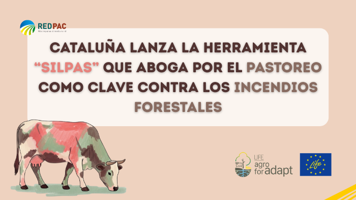Cataluña lanza la herramienta “SilPas” que apuesta por el pastoreo como clave contra los incendios forestales