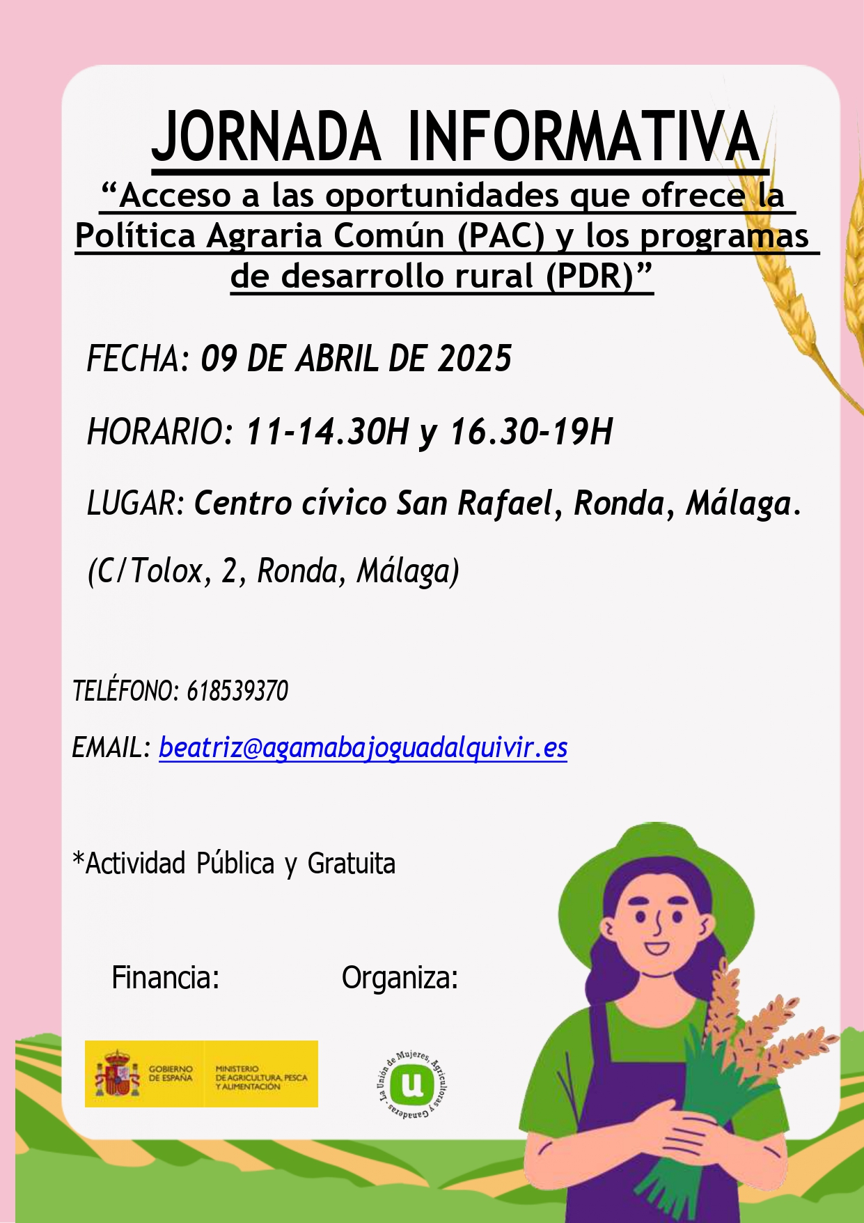 A-17 Publicacion actividad