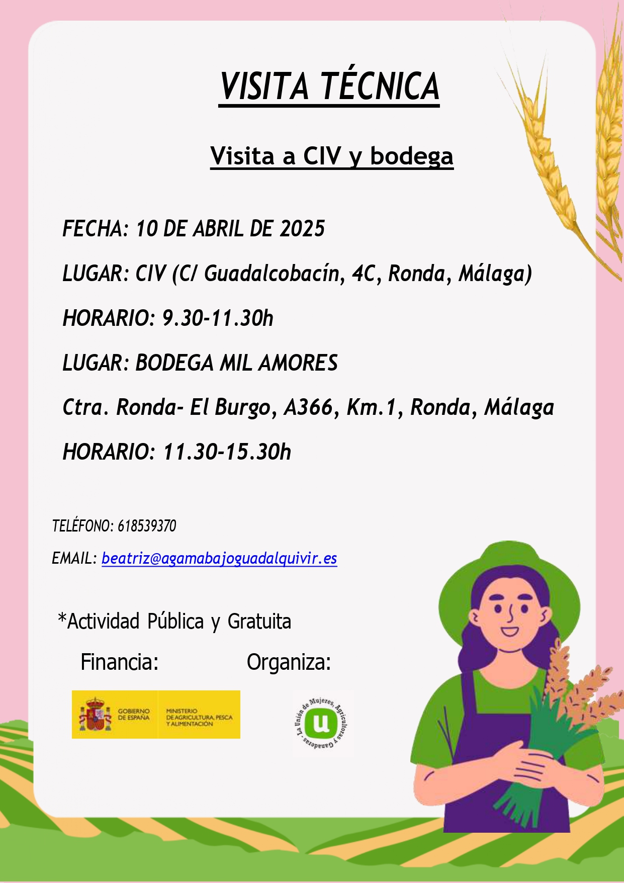 A-17 publicacion anuncio
