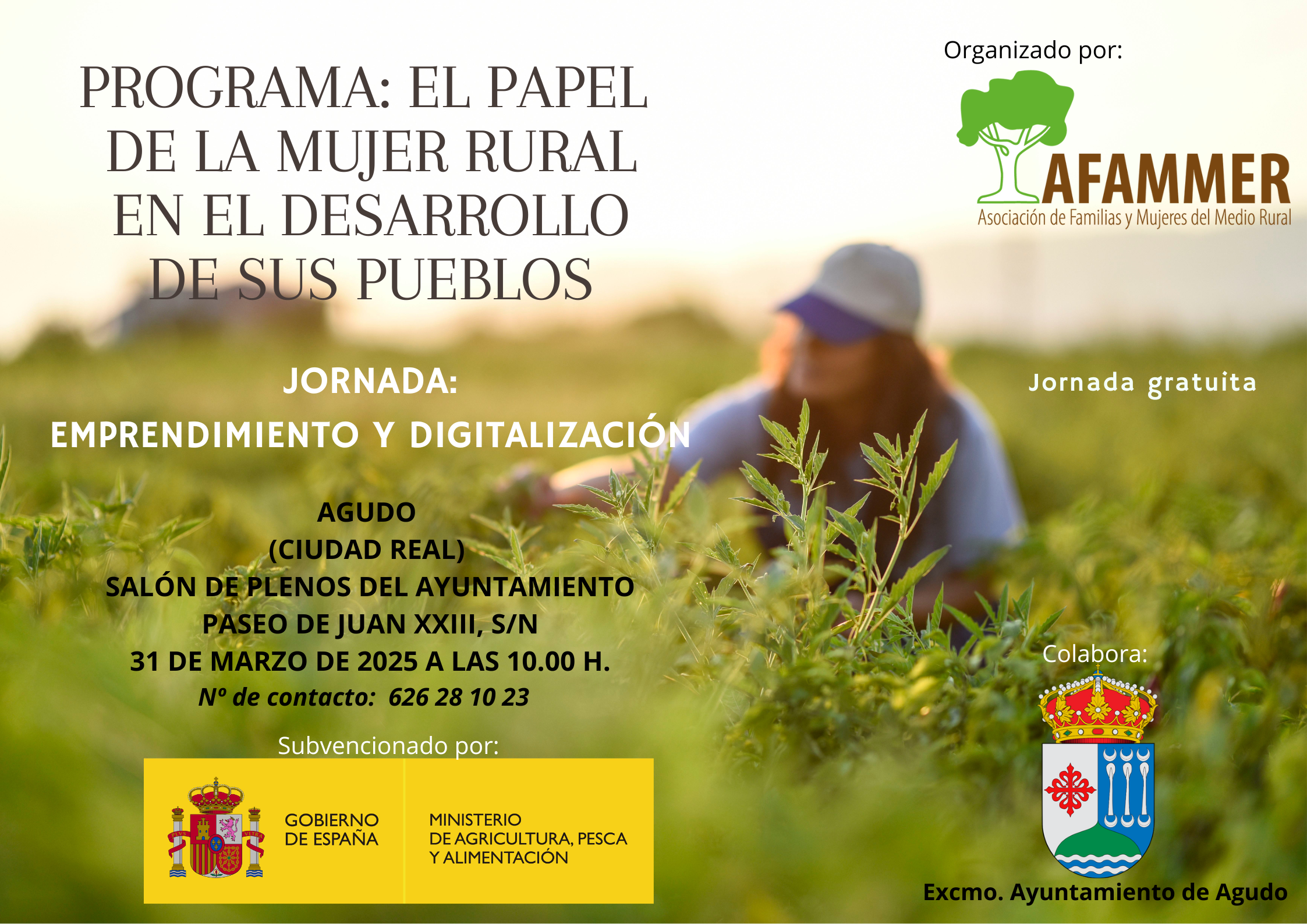 AFAMMER Conference in Agudo 2025