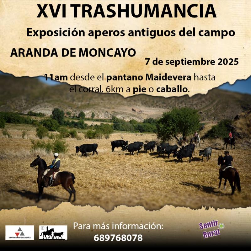 Sentir Rural tiene un compromiso con la trashumancia y lleva realizando este evento en Aranda de Moncayo desde 2012. Y ya en 2011 por diferentes municipios de Aragón, Navarra y Soria. A lo largo de millones de años, los humanos han realizado la trashumancia con su ganado. La trashumancia es el traslado del ganado, 2 veces al año, hacia los pastos de verano en zonas altas y vuelta a las zonas bajas (valles y dehesas) para pasar el invierno. Ser trashumante es más que una forma de pastoreo, es una forma de vida y de un sentir la total conexión con los ciclos de la naturaleza y todo lo vivo. La trashumancia ha tejido un extenso sistema de comunicaciones por toda la península ibérica de vías pecuarias, divididas entre cañadas, cordeles, veredas y coladas que al inicio de este siglo todavía subsisten a lo largo de 125.000 kilómetros y 400.000 hectáreas. Aranda de Moncayo sigue siendo paso de los trashumantes manteniendo sus vías activas. Desde sus inicios, Sentir Rural ha trabajado en distintas actividades con la trashumancia y trashumantes desde el 2010, dando visibilidad a este oficio y modo de vida que va desapareciendo poco a poco. Por ello, en esas jornadas, informamos de los numerosos beneficios que proporciona la trashumancia tanto a la sociedad como al medioambiente, manteniendo así una biodiversidad viva y de la fertilidad de nuestros suelos tras su paso. A su vez controla el crecimiento de matorrales actuando de forma eficiente en contra los incendios, entre otros muchos beneficios. A lo largo de un fin de semana, mediante estas jornadas didácticas e interactivas, recordaremos a esos hombres y mujeres que a lo largo de milenios han contribuido a través de su actividad económica a producir alimentos de calidad contribuyendo a mantener un ecosistema vivo. En el 2016 la trashumancia fue declarada Patrimonio Inmaterial de la Humanidad y desde 2023 es Patrimonio Cultural Inmaterial de la Humanidad por la UNESCO. La exposición de aperos antiguos relacionados con la trashumancia y labores del campo es una mirada hacia atrás. Un pasado no tan lejano. Un disfrute por la belleza y calidad de las herramientas hechas a mano y con materiales de la zona. Exposición sábado 6 y domingo 7 septiembre en la finca y cuadra restaurada en el Molino del Batán de Aranda de Moncayo. Trashumancia: Recorrido de 14 kms por vías pecuarias del municipio de Aranda de Moncayo. Las personas pueden realizar el trayecto tanto a pie como a caballo.