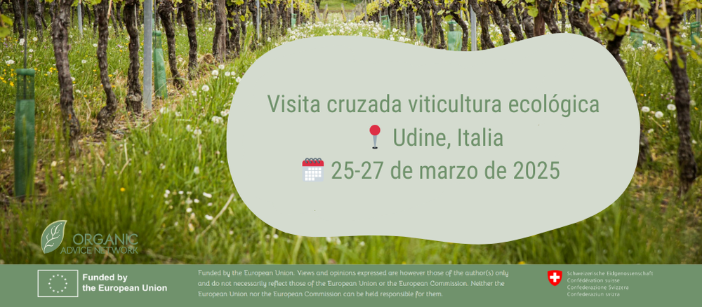 Vi帽edo ecol贸gico Unide, Friuli, Italia