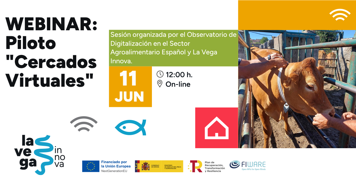 Seminario web sobre valados virtuais