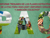 Informe “Resumen planes estratégicos PAC 2023-2027: esfuerzo conjunto y ambición colectiva WEB