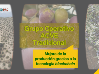 Grupo Operativo AOVE Tradicional