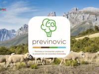 previnovic