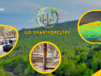 GO SMARTFORESTRY