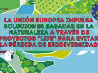 La Unión Europea impulsa soluciones basadas en la naturaleza a través de proyectos LIFE para evitar la pérdida de biodiversidad La Unión Europea impulsa soluciones basadas en la naturaleza a través de proyectos LIFE para evitar la pérdida de biodiversidad 