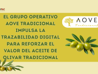El Grupo Operativo AOVE Tradicional impulsa la trazabilidad digital para reforzar el valor del aceite de oliva tradicional