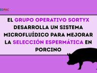 El Grupo Operativo SORTYX se propone mejorar la selección espermática en el sector porcino