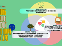 La Red Europea de la PAC abre la convocatoria para tres nuevos Grupos Focales sobre incendios forestales, fertilización y protección de frutales