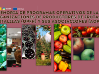 La Red PAC publica la Memoria de programas operativos de las “organizaciones de productores de frutas y hortalizas” y sus asociaciones: marco, resultados y voces del sector
