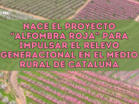Cataluña impulsa el proyecto “Alfombra roja” para acelerar el relevo generacional en el medio ruralCataluña impulsa el proyecto “Alfombra roja” para acelerar el relevo generacional en el medio rural